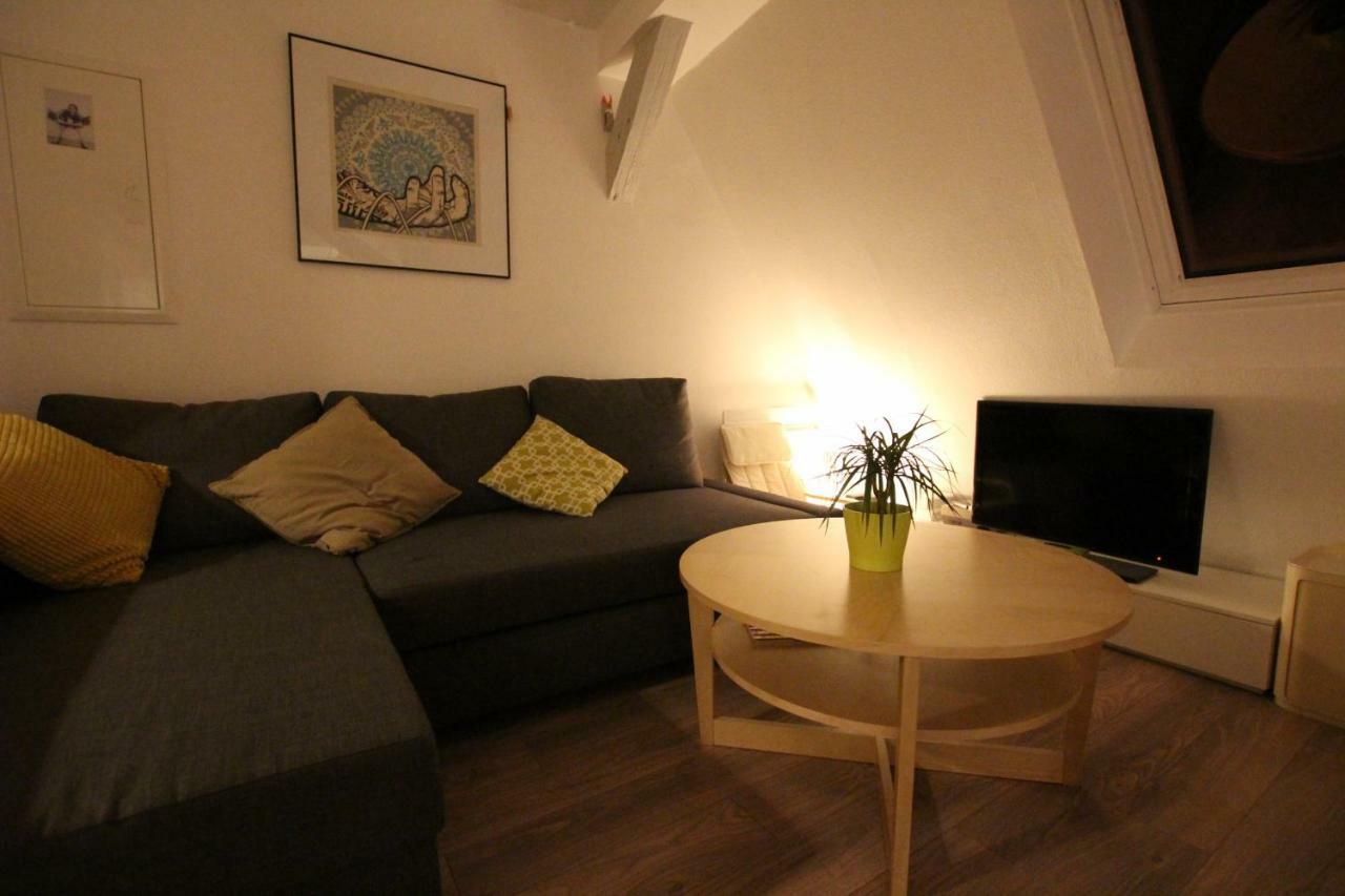 Colmar City Center - Appartement Belle-Vue 4 Etoiles Exterior foto
