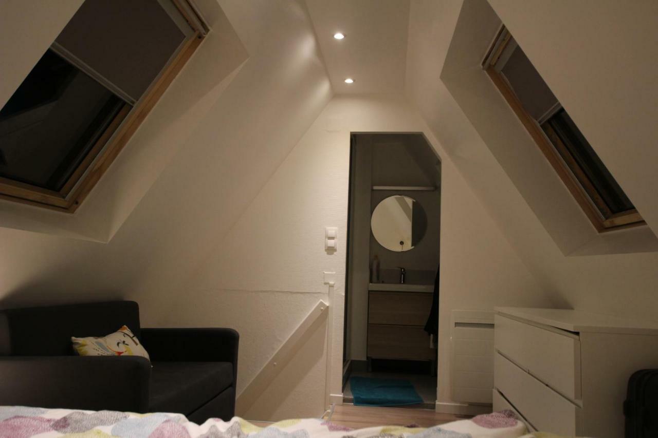 Colmar City Center - Appartement Belle-Vue 4 Etoiles Exterior foto